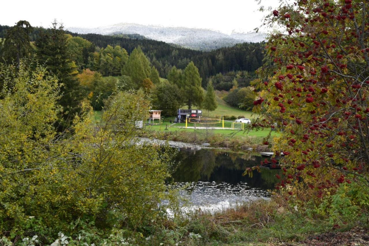 Ferienwohnung Familie Pichler Neumarkt in Steiermark Kültér fotó