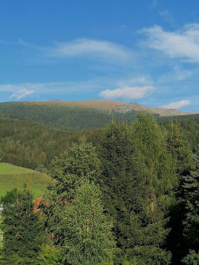 Ferienwohnung Familie Pichler Neumarkt in Steiermark Kültér fotó