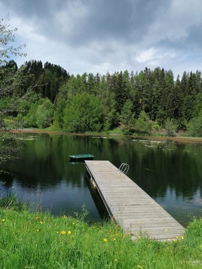 Ferienwohnung Familie Pichler Neumarkt in Steiermark Kültér fotó