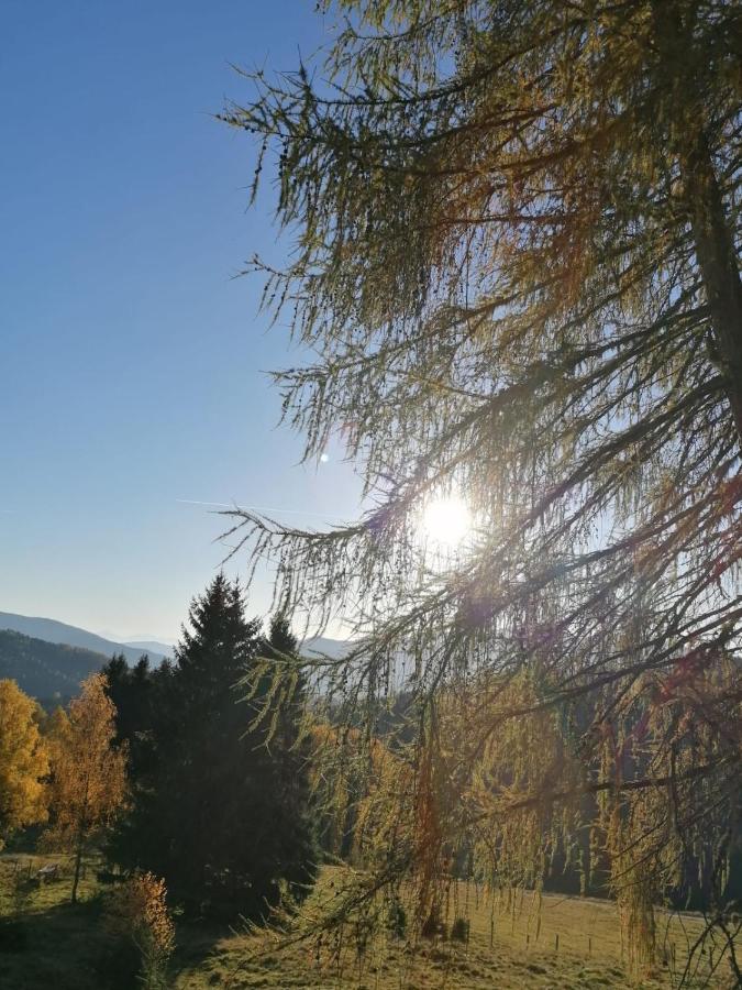 Ferienwohnung Familie Pichler Neumarkt in Steiermark Kültér fotó