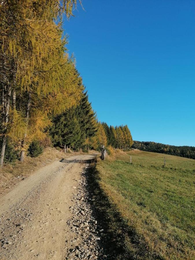 Ferienwohnung Familie Pichler Neumarkt in Steiermark Kültér fotó
